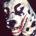 yoooooooji