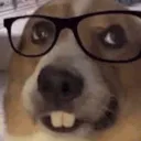 mrkraps