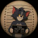 p0za