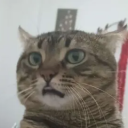 thekirr