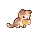 kiersplat