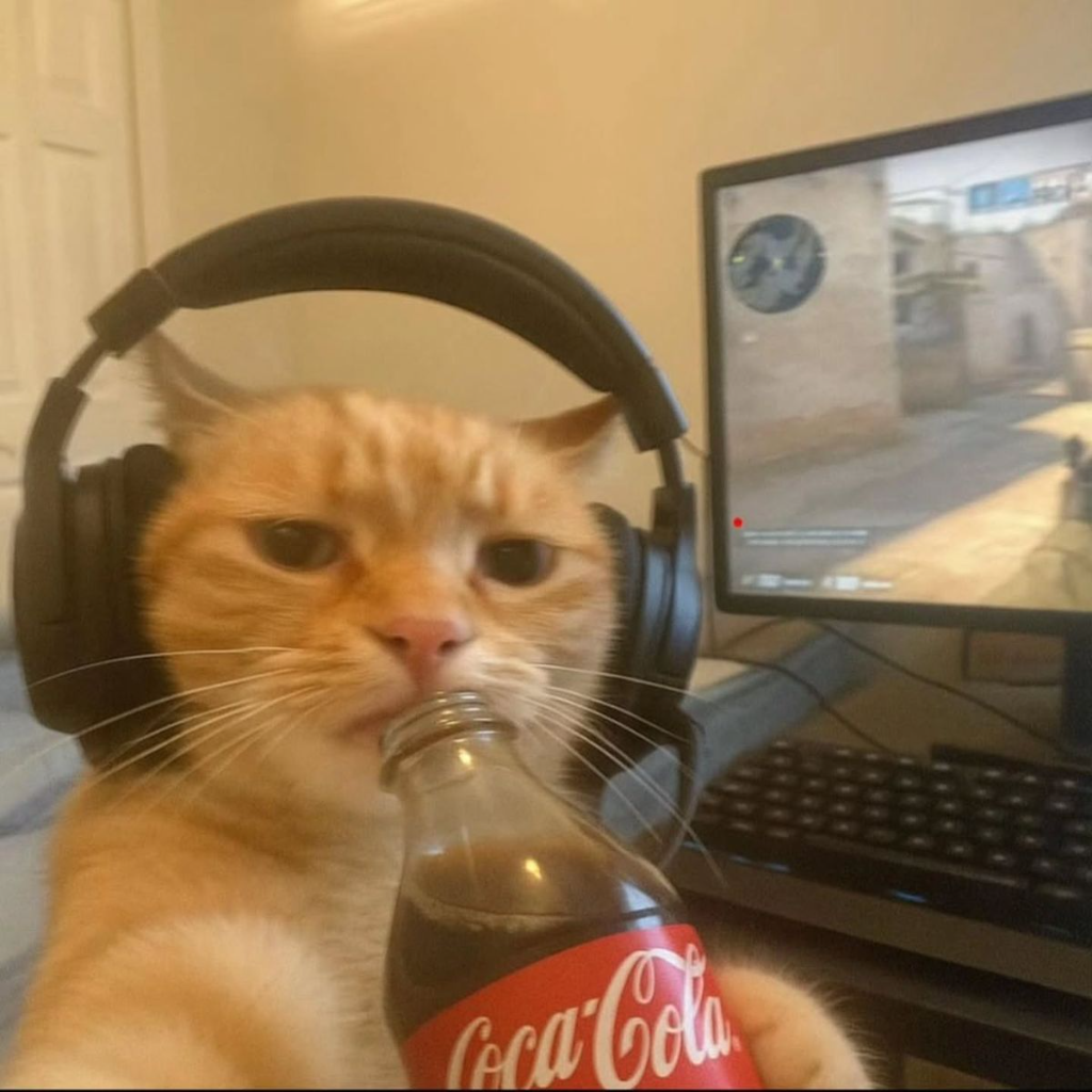brenoking10#0's pfp