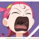 star_anise