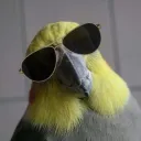 theendy