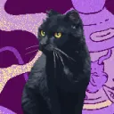 A V I X I T Y