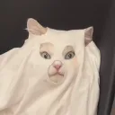 rrrur1
