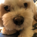 trusting_nightingale2824158 member profile picture