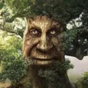 wise_mysticaltree