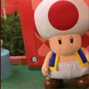 mario_toad