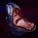 reberydinigzadaland