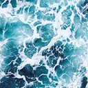 seaphilia