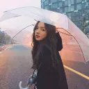 iris_y