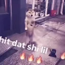 chicolicious_