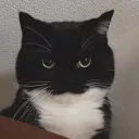 munci_fw