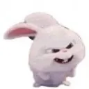 rabbit1328