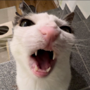 avatar MiMiMi