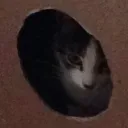 swaggmuffin64