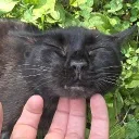 commanderdrakeyt avatar