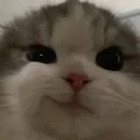 lozzagna