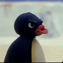 sofast0