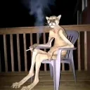 lauandzn