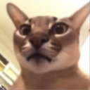 divineessentia's avatar