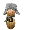 hilidice