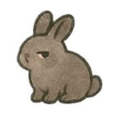 avatar amorina reprise ⭐