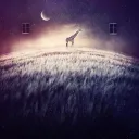 kishan6608
