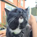 gnarlybean