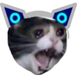 deditosdealmidon