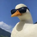 zigserx532