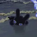 hikkidashi