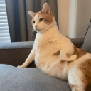 Discord Avatar