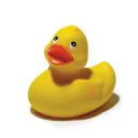 cjduckk