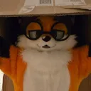 furrydesgracado