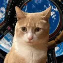 thatmartianguy