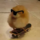 riccthethicc
