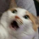 meno_largo