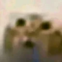 2wdani