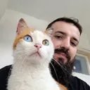 payandaonline