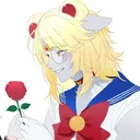 dogeexp