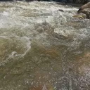 drssprscs