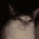 blake0201