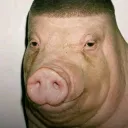 b0kiy