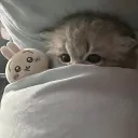 roubibi