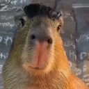 stanibee