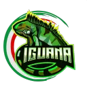 franky_iguana