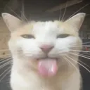 masterofjazz