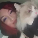 princesstofu